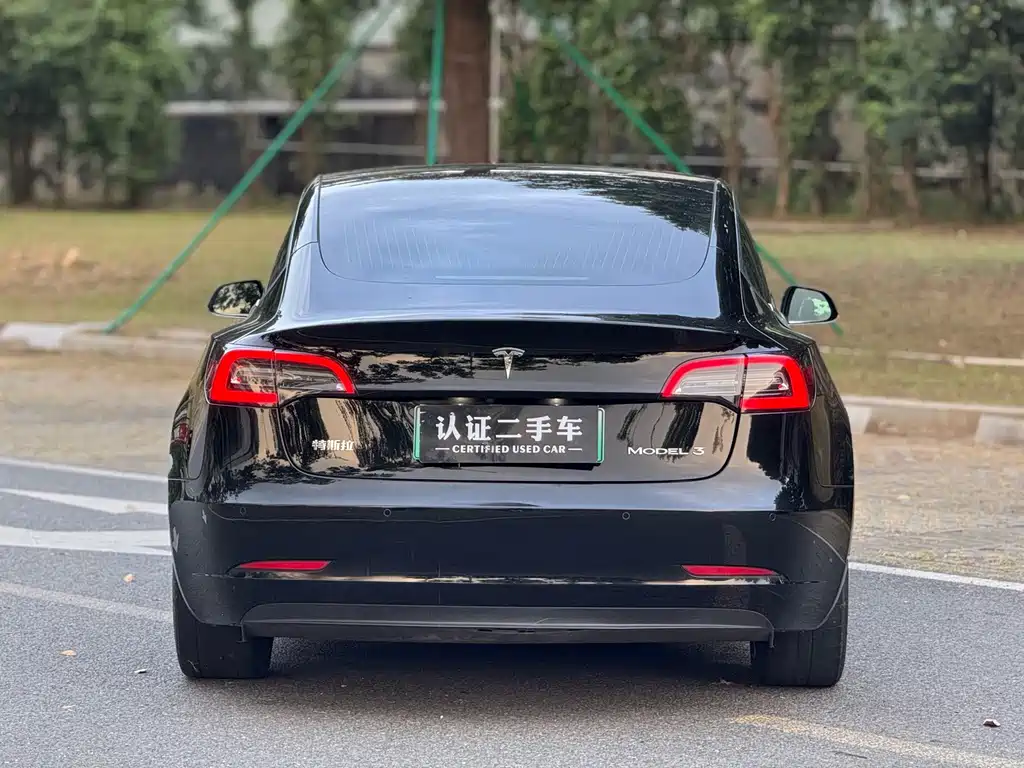 Tesla Model 3 — миниатюра 11