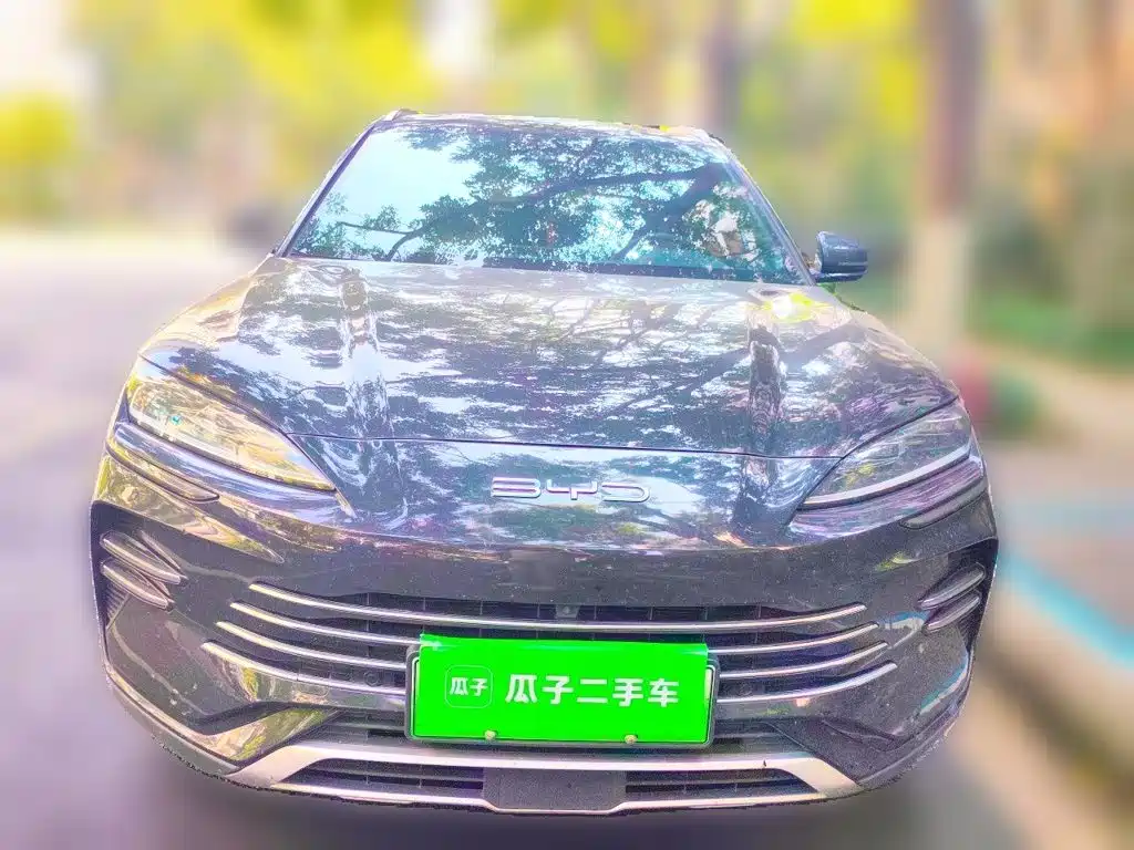 BYD PLUS New Energy — миниатюра 2