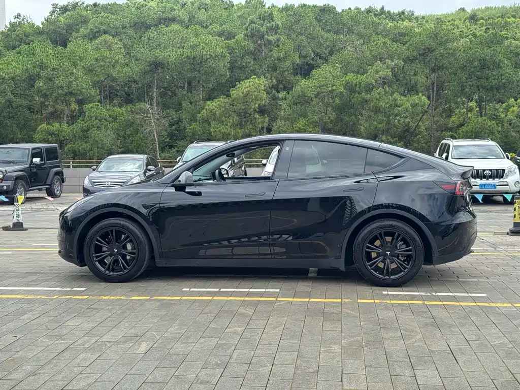 Tesla Model Y — фотографии объявления, Фото 22