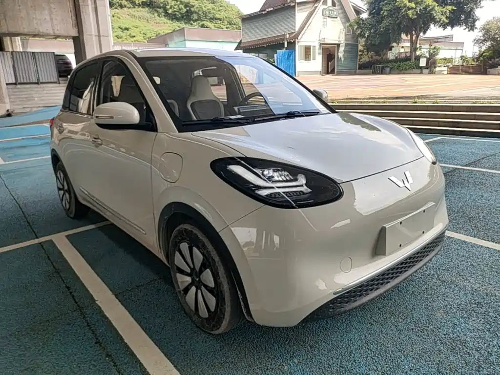Wuling Binguo 2024 333km Enjoy