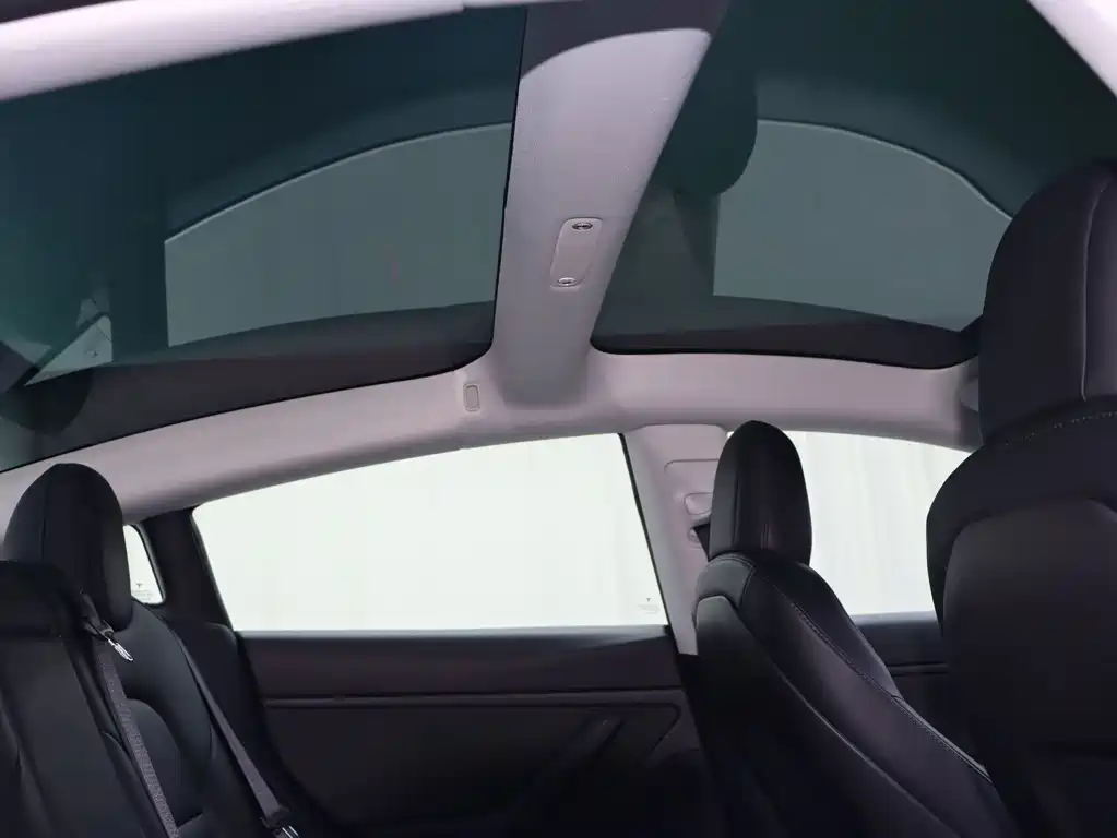 Tesla Model 3 — миниатюра 15