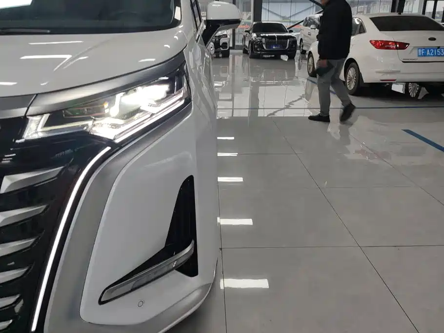 Denza Denza D9 — миниатюра 5