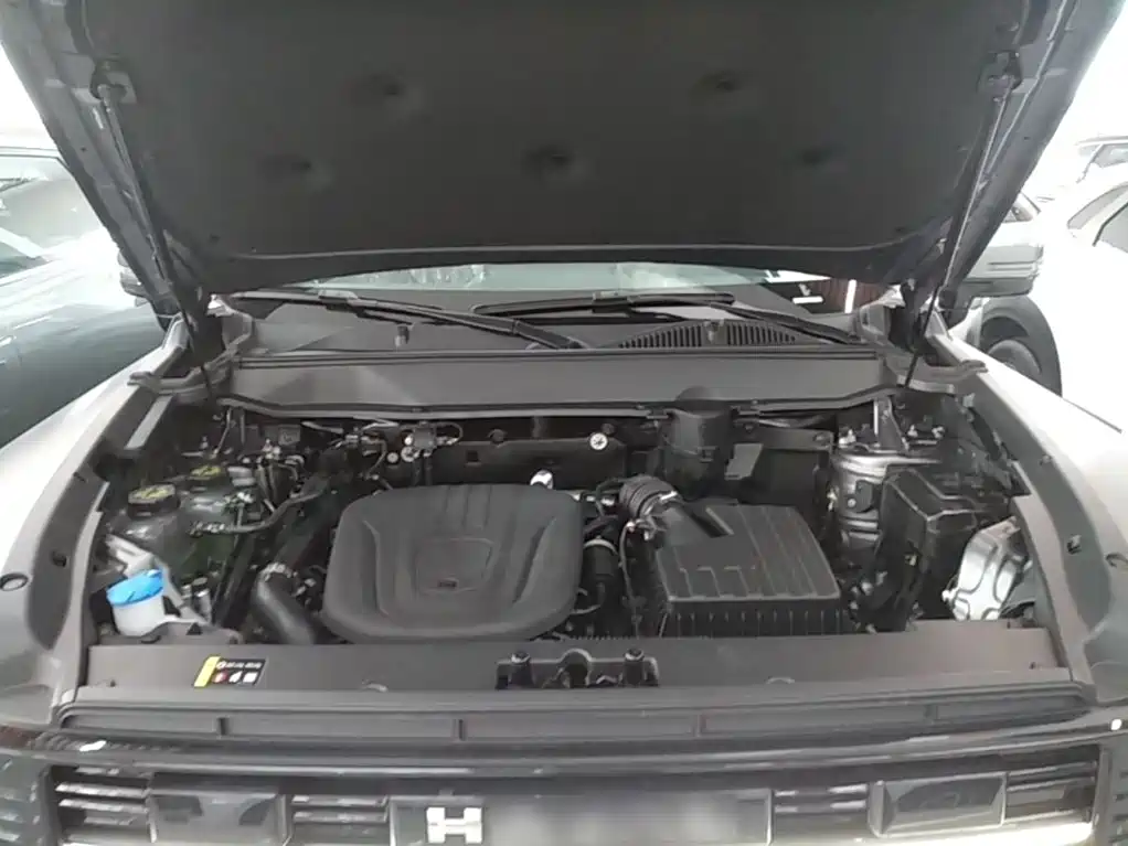 Haval Menglong New Energy — миниатюра 19