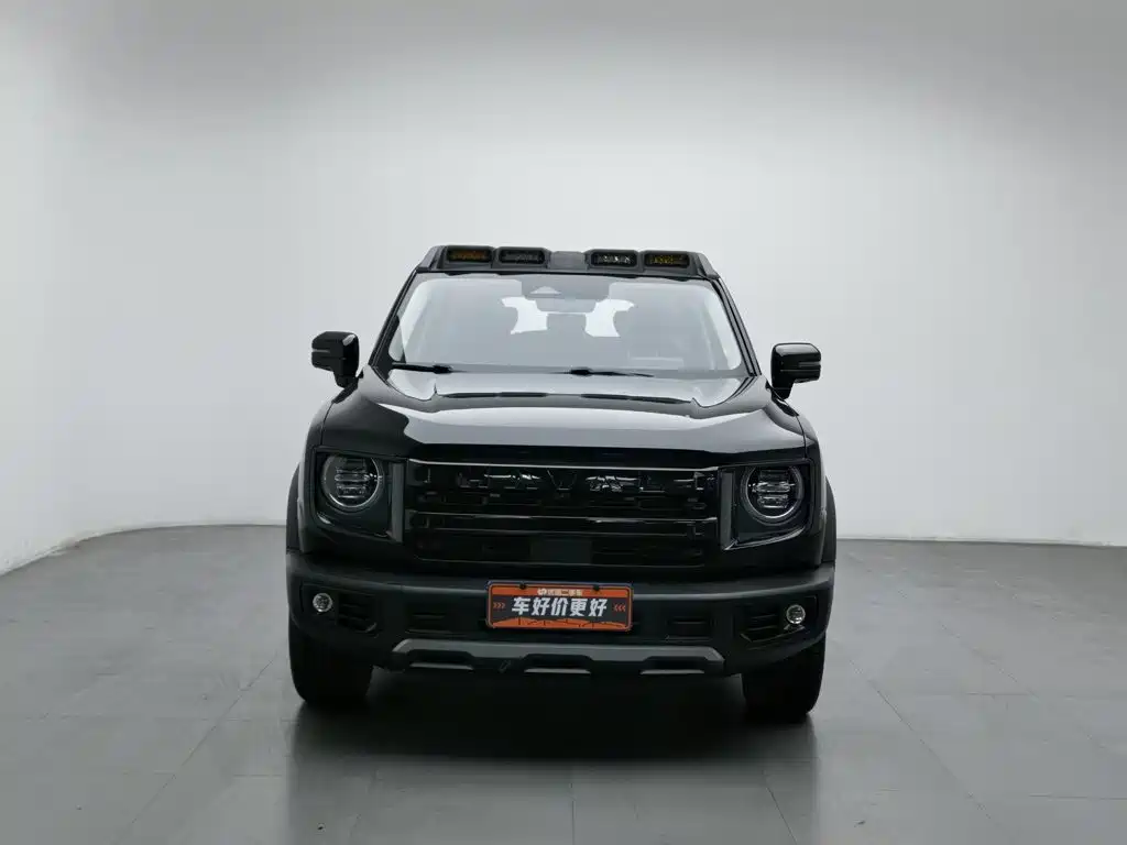 Haval Big Dog — миниатюра 3