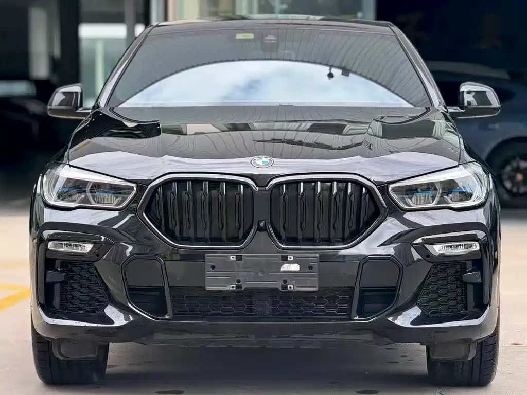 BMW X6 — миниатюра 2