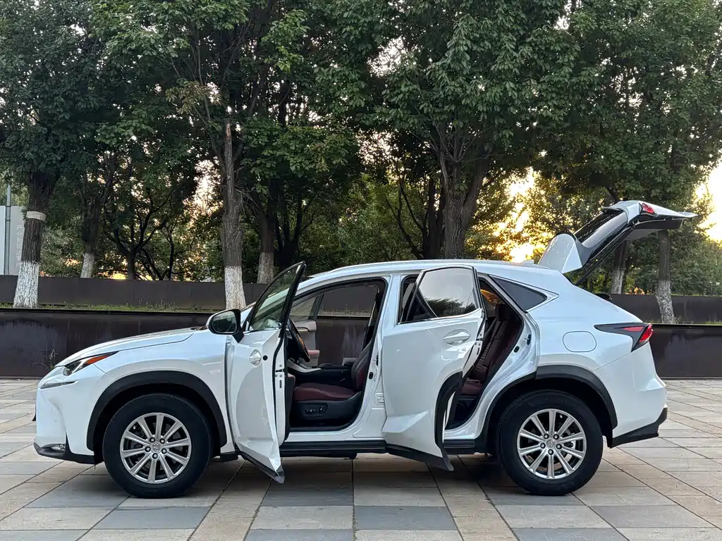 Lexus NX — миниатюра 12