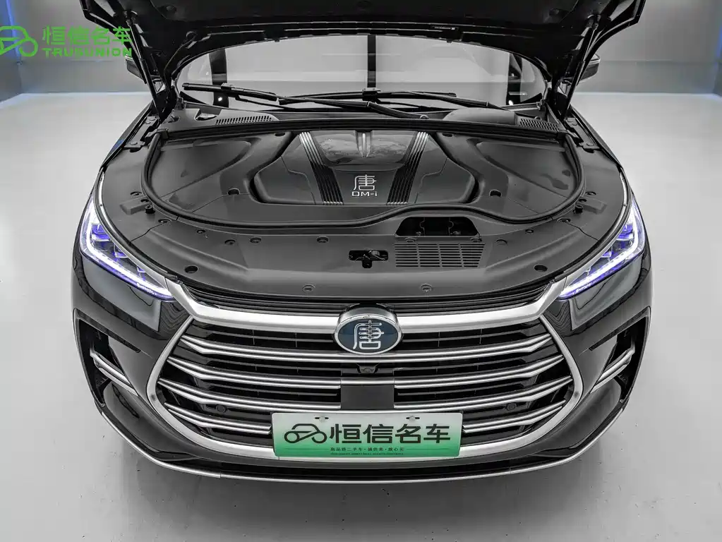 BYD Tang New Energy — миниатюра 21