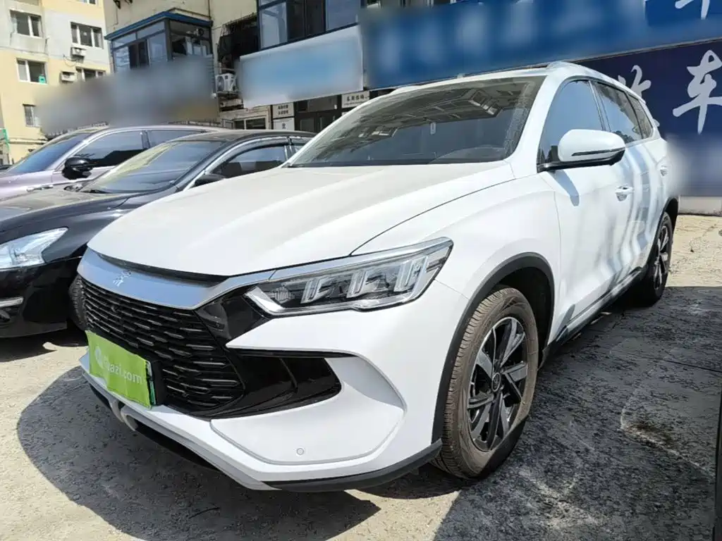 BYD Pro New Energy — миниатюра 2