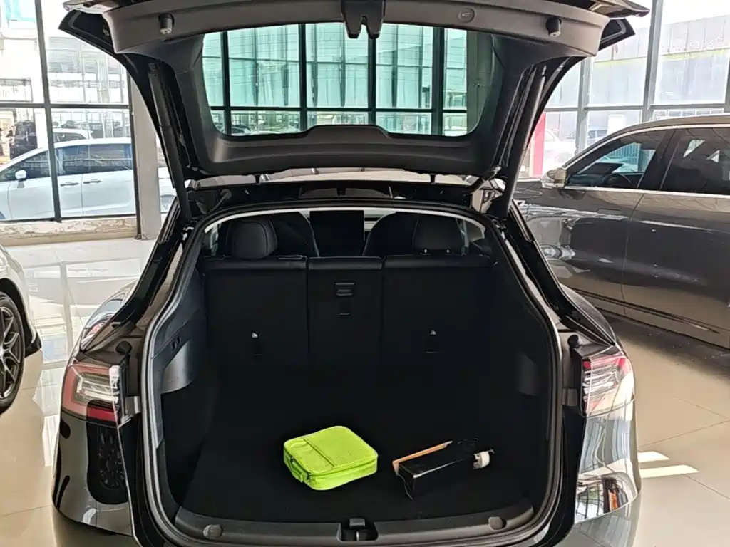 Tesla Model Y — миниатюра 19