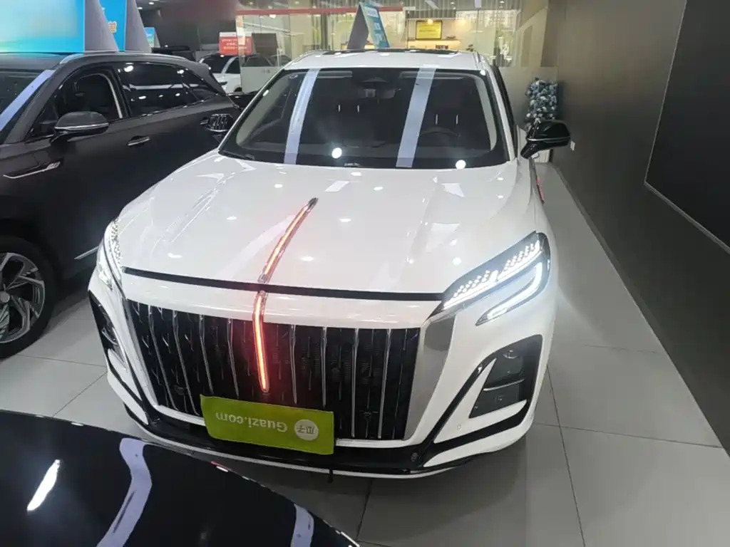 Hongqi Hongqi HS3 PHEV — миниатюра 3