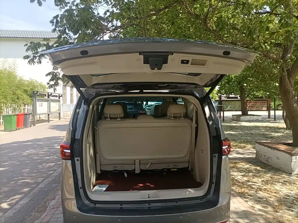Buick GL8 — миниатюра 19