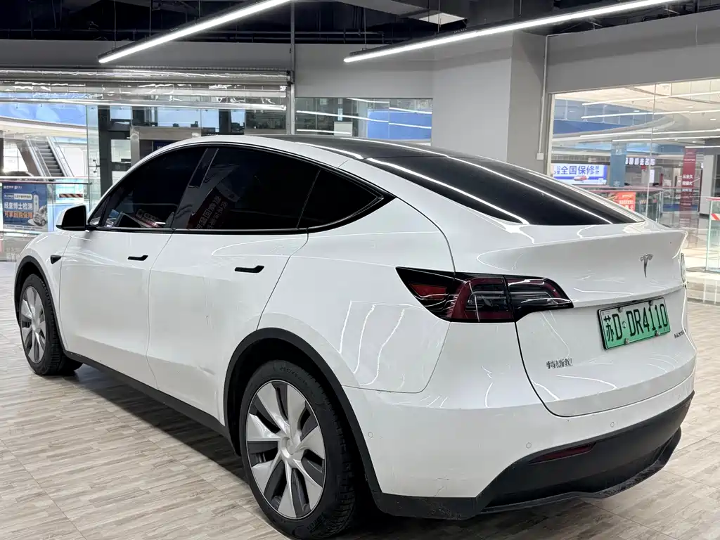 Tesla Model Y — миниатюра 3