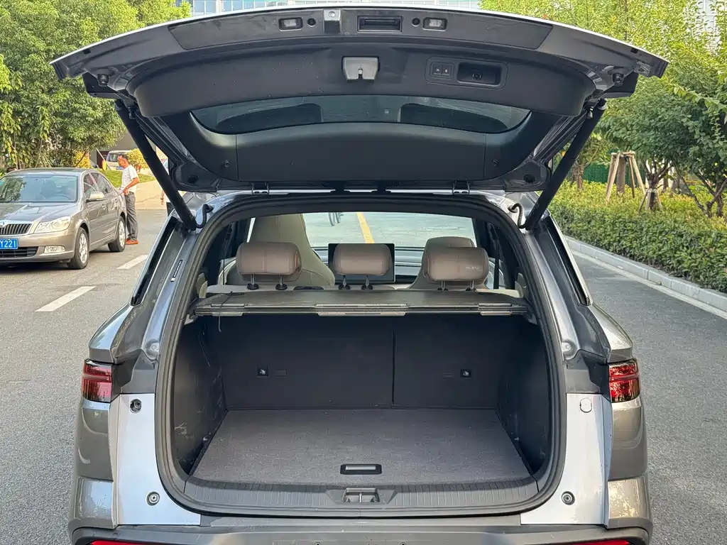BYD Pro New Energy — миниатюра 19