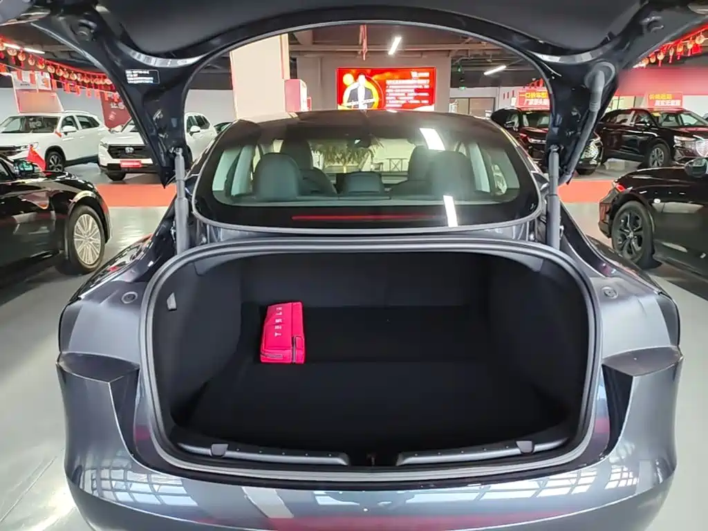 Tesla Model 3 — миниатюра 19