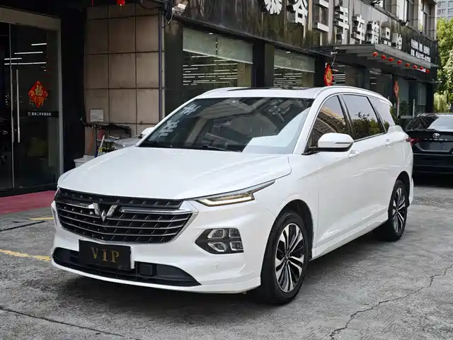 2021 Wuling Motors Victory