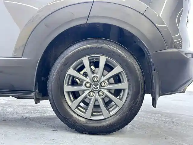 Mazda CX-30 — миниатюра 16