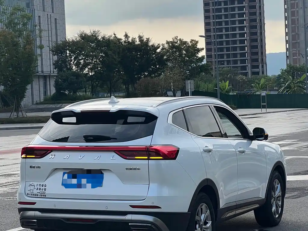 Haval H6 — миниатюра 7