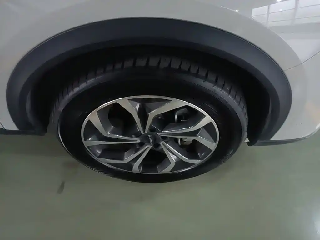 Haval Xiaolong MAX — миниатюра 12