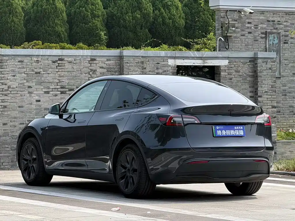Tesla Model Y — миниатюра 3