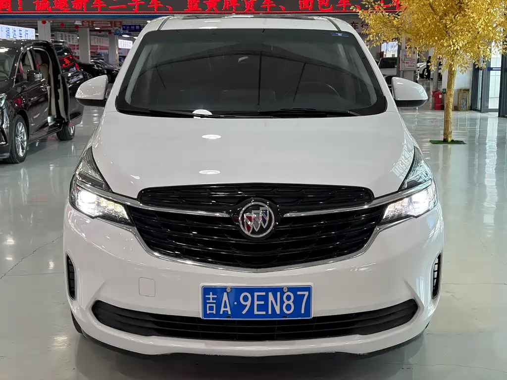 Buick GL8 — миниатюра 2