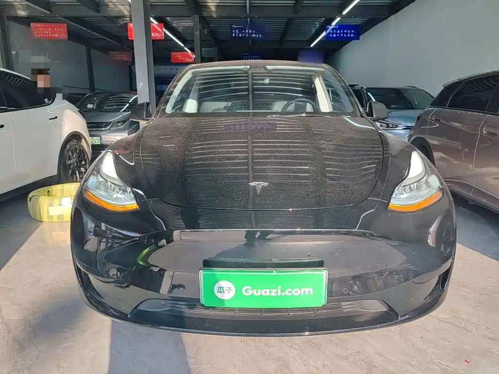 Tesla Model Y — миниатюра 3