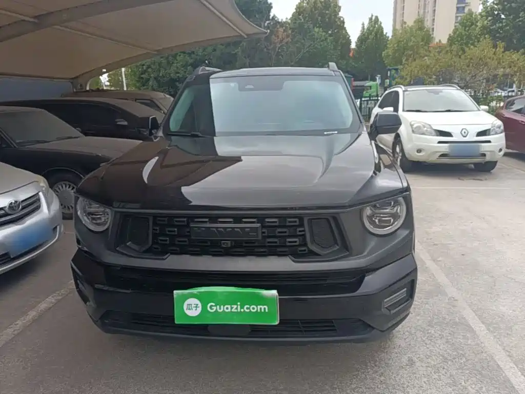 Haval Big Dog PLUS — миниатюра 3
