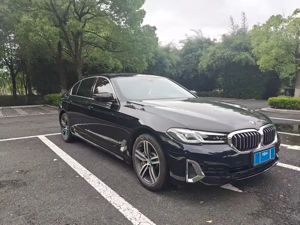BMW 5 Series 5 2021 530Li Lead Luxury