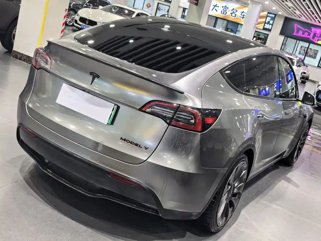Tesla Model Y — миниатюра 4