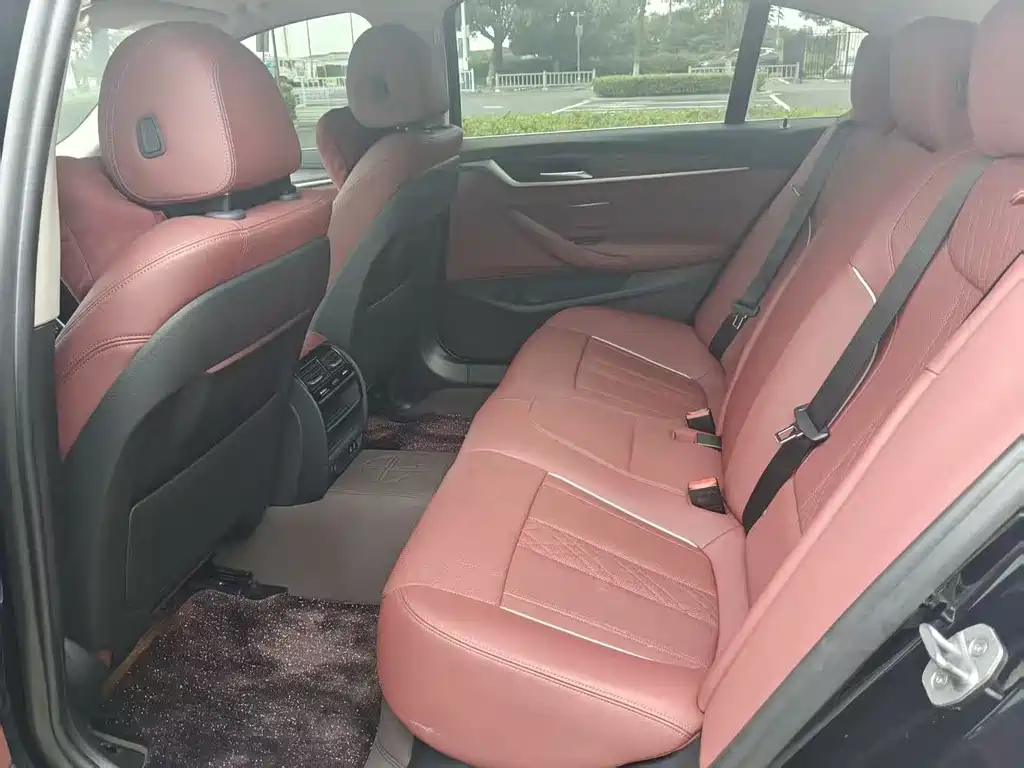 BMW 5 Series 5 2021 530Li Lead Luxury