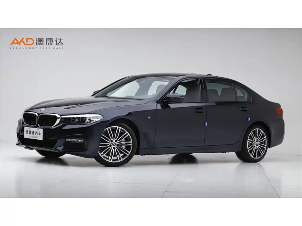 BMW 5 Series 2019