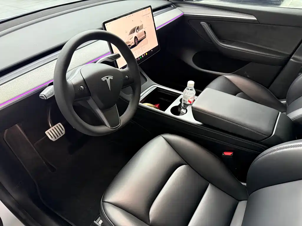 Tesla Model Y — миниатюра 4