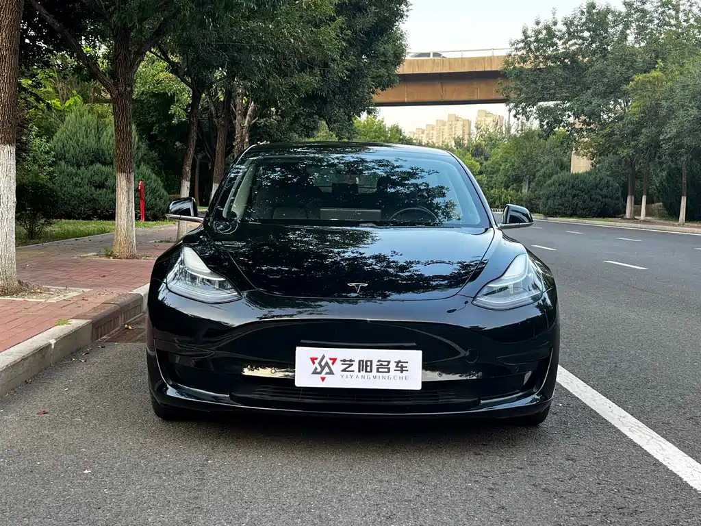 Tesla Model 3 — миниатюра 2