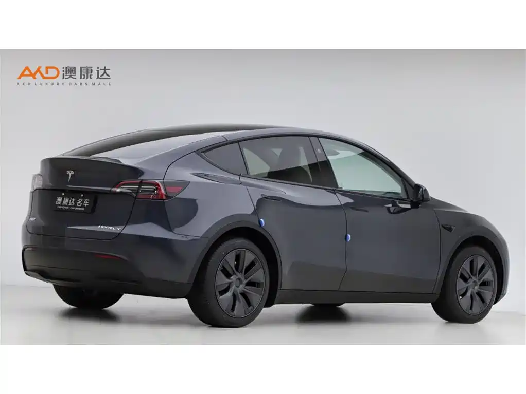 Tesla Model Y — миниатюра 3