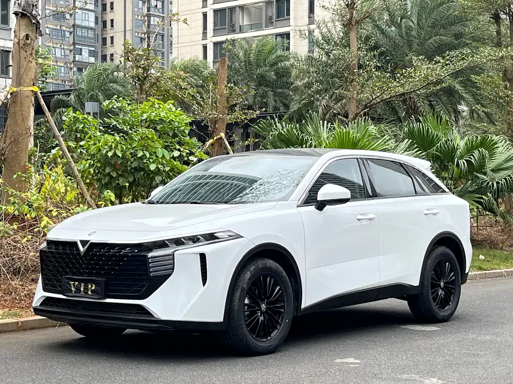 Venucia V 2023