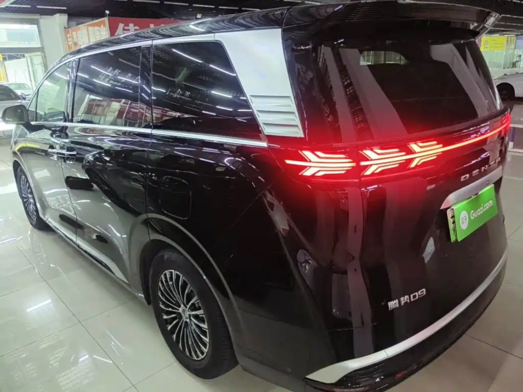 Denza Denza D9 — миниатюра 5