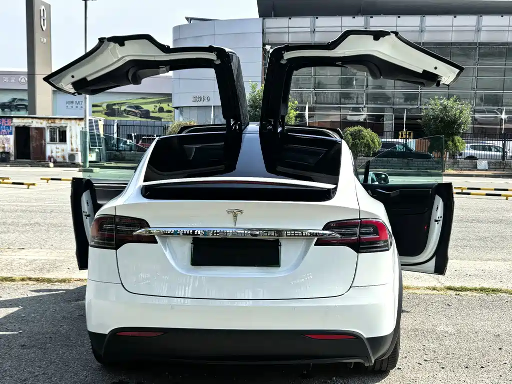 Tesla Model X — миниатюра 6