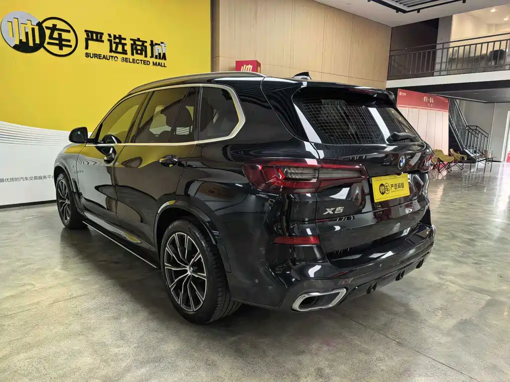 BMW X5 (Import) — миниатюра 6