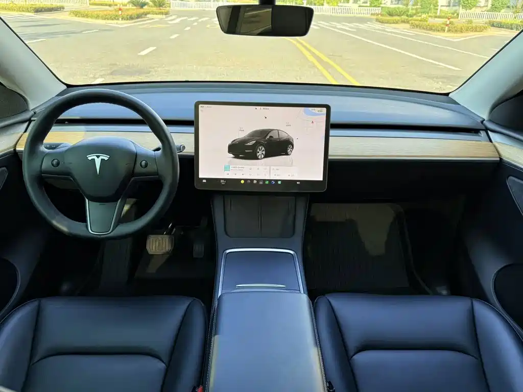 Tesla Model Y — миниатюра 5
