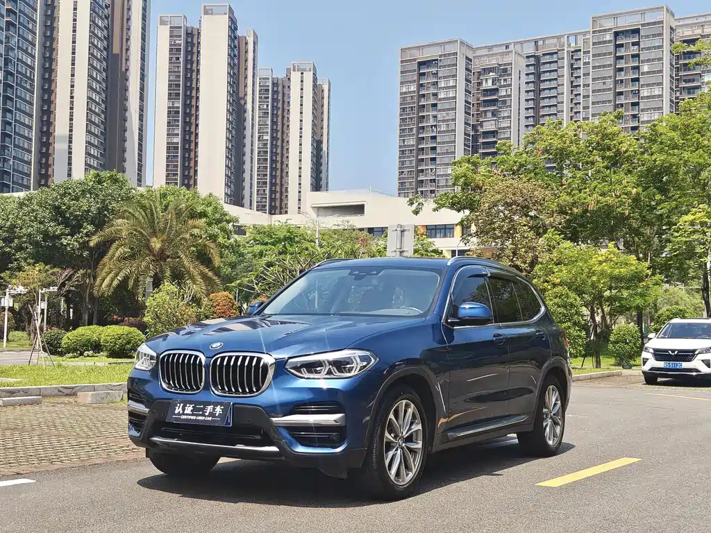 BMW X3 2020 xDrive25i Luxury