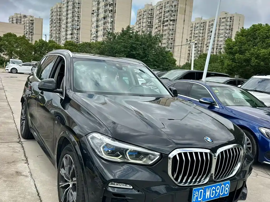 BMW X5 (Import) — миниатюра 2