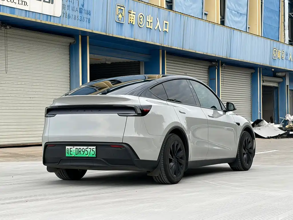 Tesla Model Y — миниатюра 6