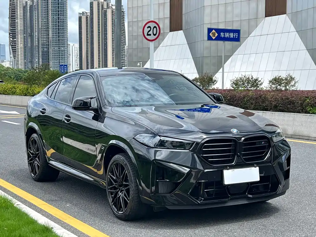 BMW X6 M — миниатюра 3