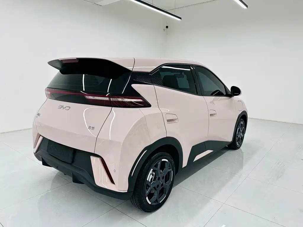 BYD Seagull — миниатюра 6