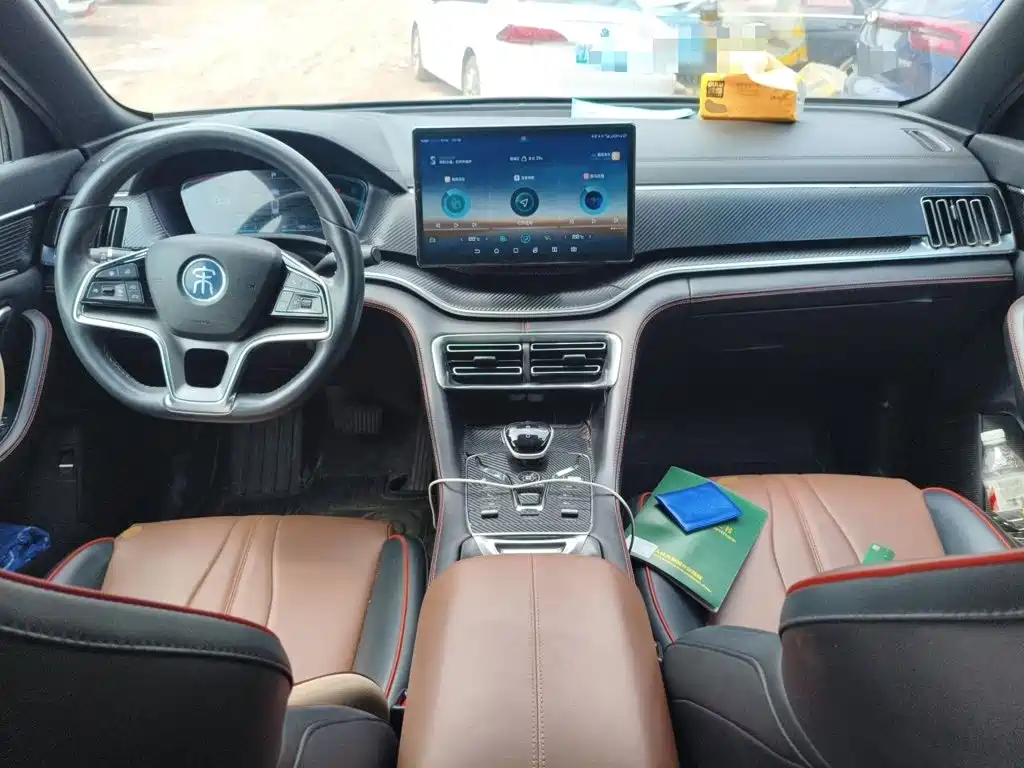 BYD PLUS — миниатюра 10
