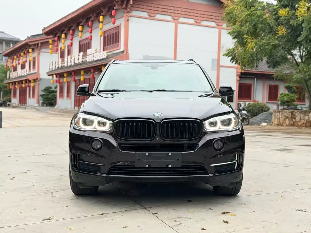 BMW X5 (Import) — миниатюра 2