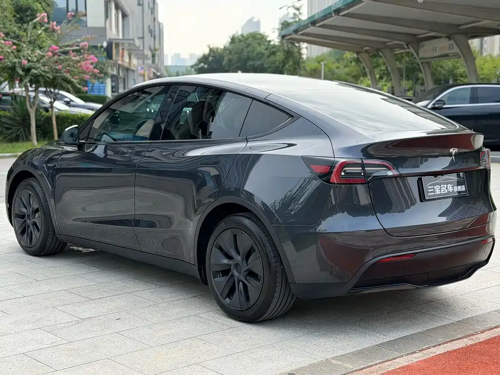 Tesla Model Y — миниатюра 6
