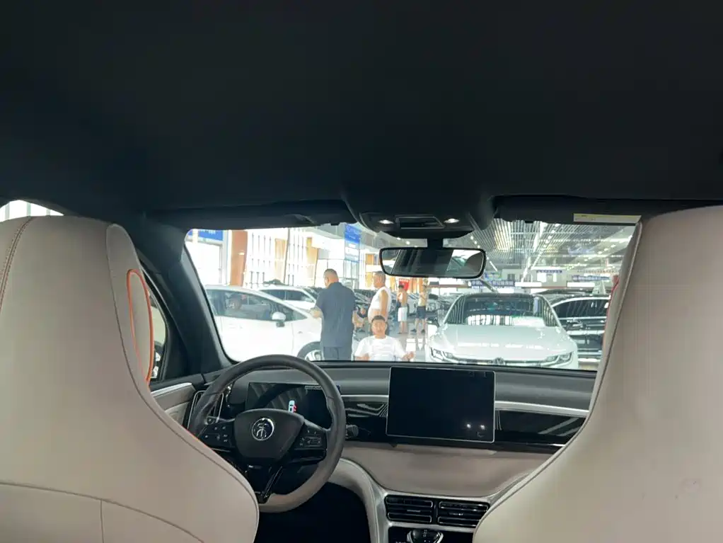 BYD Pro New Energy — миниатюра 4