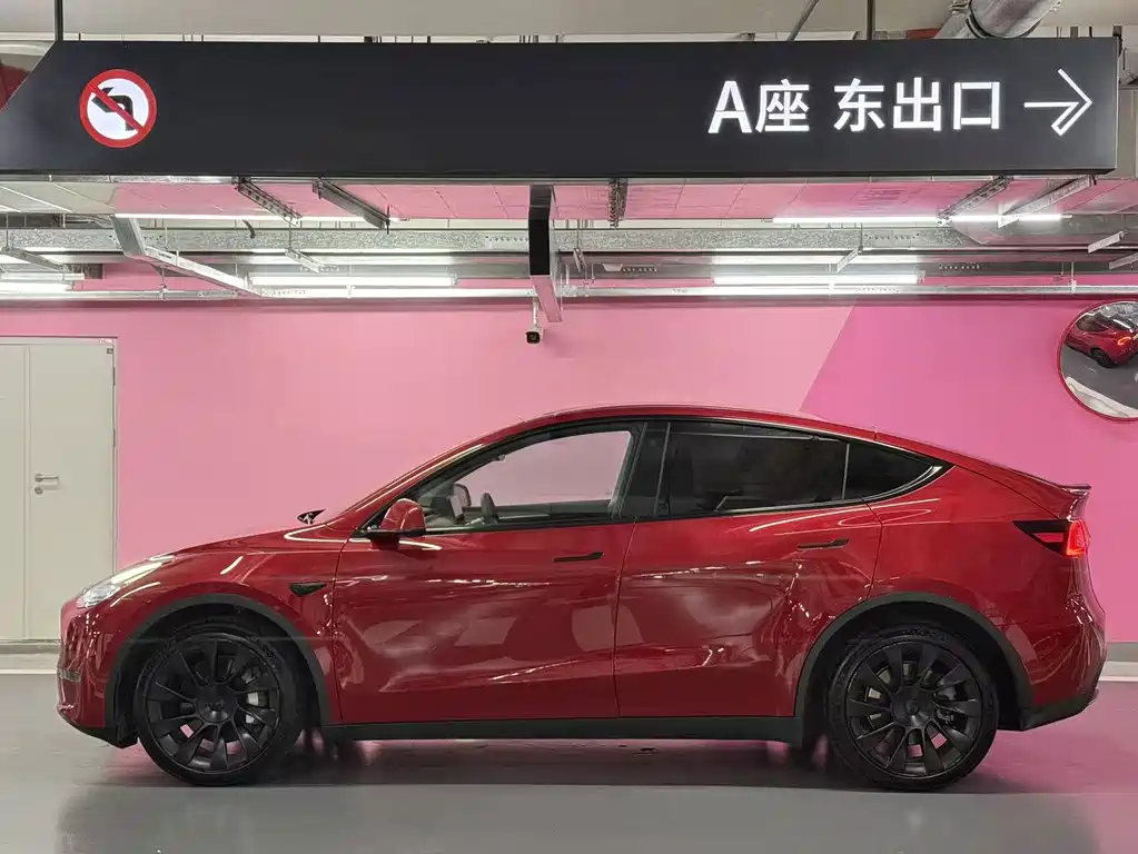 Tesla Model Y — миниатюра 2