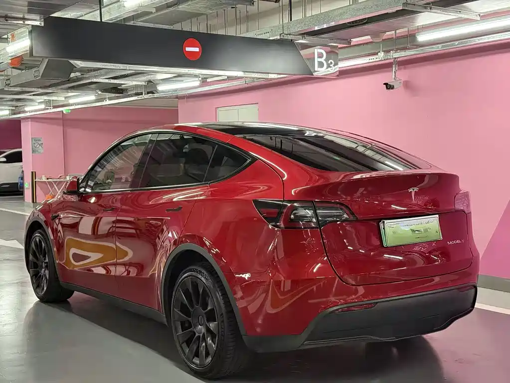 Tesla Model Y — миниатюра 3