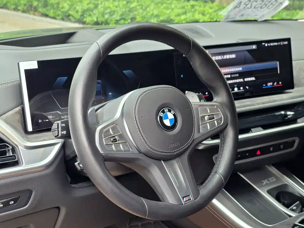 BMW X5 — миниатюра 7